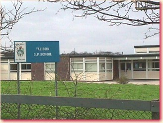 Taliesin Junior School